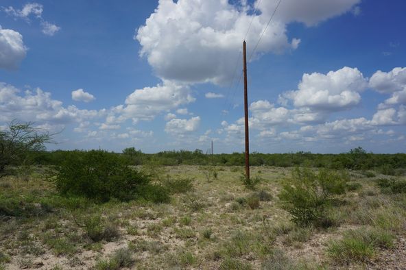 Ranch Land with Minerals: Ranch Rd 7918B, Laredo, TX 78046